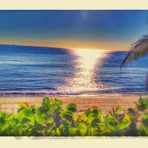 Meet your Posher, Blake